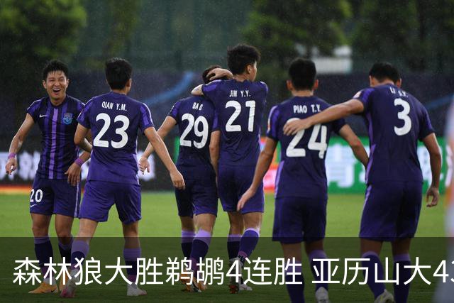 森林狼大胜鹈鹕4连胜 亚历山大43分雷霆克骑士